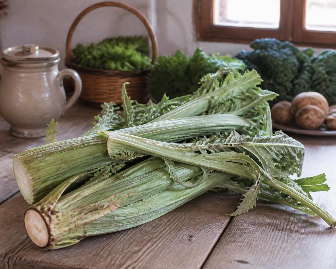 découvrez le cardon, un légume ancien et durable qui séduit les amateurs d'écologie et de cuisine responsable, alliant saveurs uniques et respect de l'environnement.