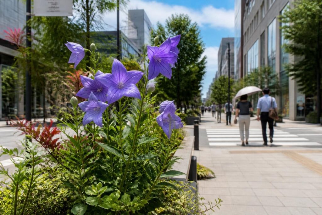 découvrez comment le platycodon, plante aux multiples vertus, favorise une écologie urbaine plus verte en améliorant la biodiversité et la qualité de l'air en milieu citadin.